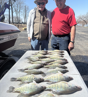 Caught a good haul today!