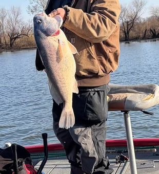 This is Oklahoma Fishing! 