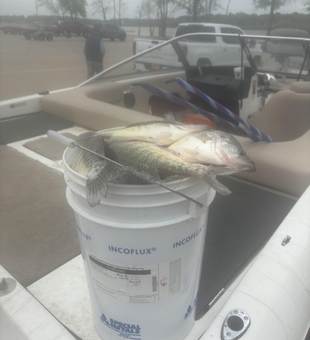 Just another day by the lake with a fresh catch.
