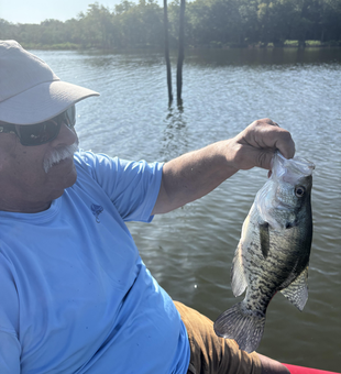 Reeling in a huge white crappie on a clear day at Spencer Creek!