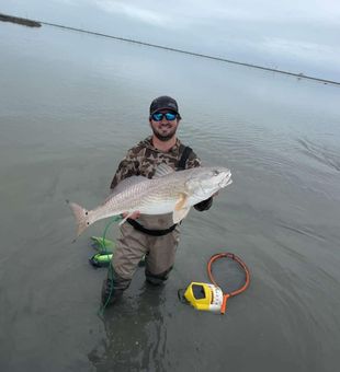 Large redfish catch!