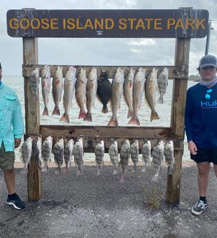 Great haul at Goose Island!