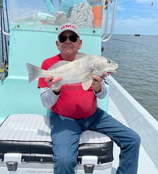 Nice black drum from Rockport TX waters!