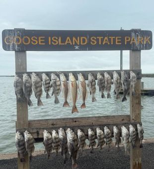 Boat wake and open Texas water.