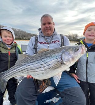 Trophy Striped bass from Tennessee lakes! 