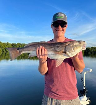 Redfish Run Fun in St. Petersburg