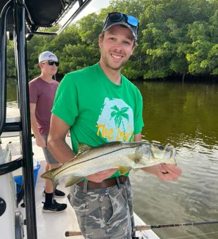 Castaway in St. Pete