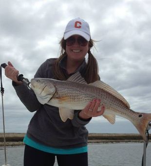 Red Drum Catch Inshore Fishing Charleston Book Now