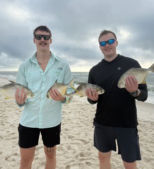 Great day on the water with these two friends. They were defiantly in competition.   