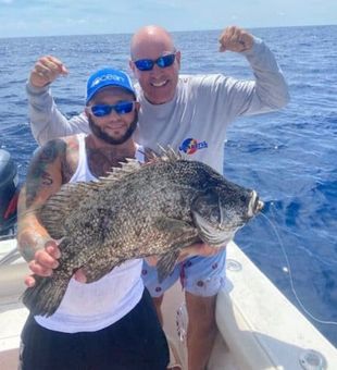 Premier Grouper Catch In Florida Waters