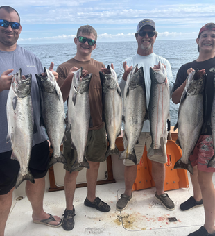Massive Chinook and Coho salmon from Lake Ontario!
