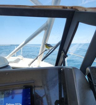 Hooked on adventure in Maine's pristine waters