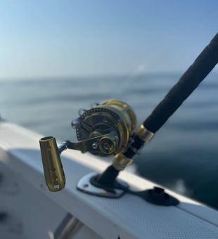 Reel in the beauty of Maine's coastal fishing
