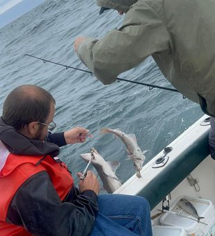 Cast your line into Maine's wild ocean depths