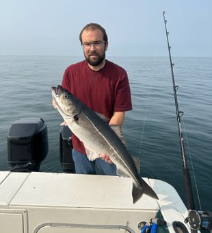 Solid cobia caught on calm seas!