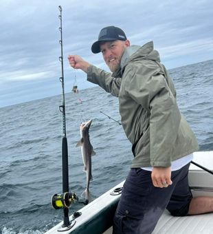 Shark Attack! - Hollis Center, ME.