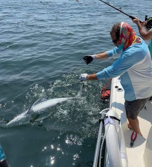 Heavy tackle with a shark! - Hollis Center, ME.