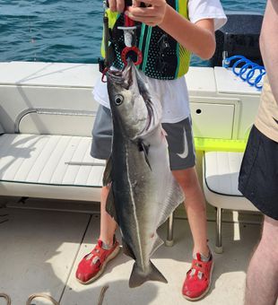 Youthful pride with a hefty cobia!