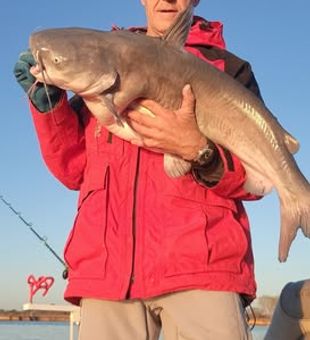 Milford Reservoir giants are waiting for you.