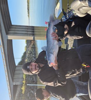Another beautiful blue catfish from Manhattan Kansas waters!