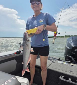 Blue catfish success on Manhattan KS waters!