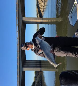 Nice blue catfish from Manhattan KS fishing tour!