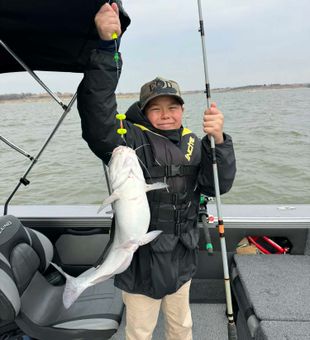 Nice hardhead sea catfish from Manhattan Kansas waters!