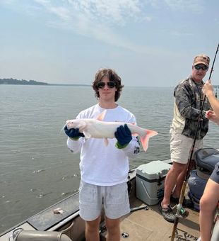 Look at that platinum catfish! 