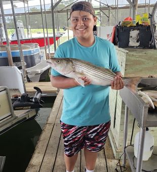 Smiling young angler with a striped bass.