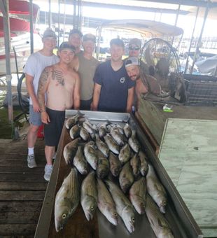 Where the reels scream the loudest.