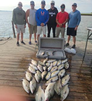 Gentlemen limiting out on Stripers early morning