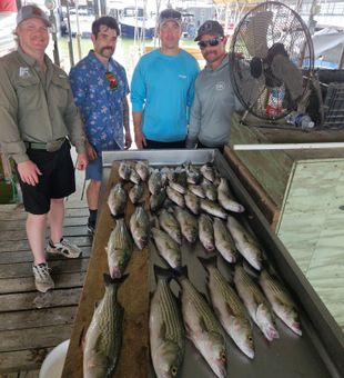 Lake life is the best life.