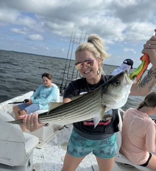 Joyful angler with a striped bass catch.