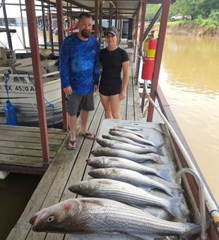 Table of Stripers from smallest to biggest.