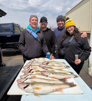 Detroit sauger and walleye making for excellent table fare!