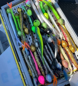 Detroit River fishing starts with this bait