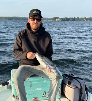 Striped Bass honeyhole is easy to find