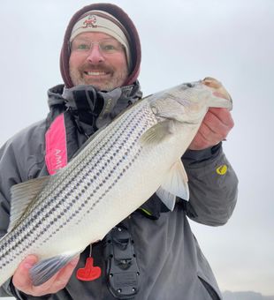 Lake fishing done right—striped bass edition