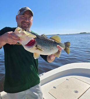 Fishing on Lake Toho, FL — calm morning water and nonstop Central Florida bass action.