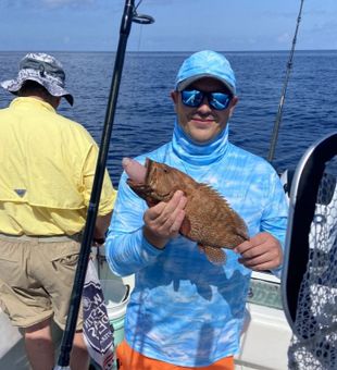 Grouper: Charleston's underwater treasure!
