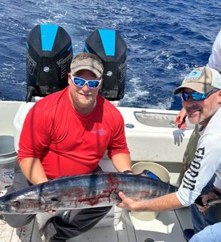 Wahoo: Charleston's underwater sprinter!