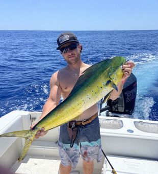 Charleston's Mahi mahi: Angler's delight!