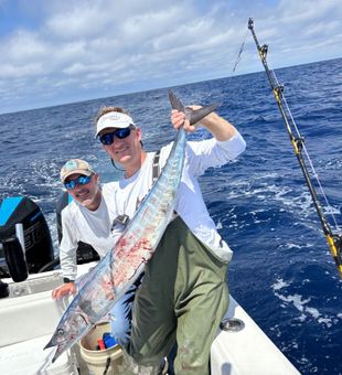 Greater Barracuda!  - Mt Pleasant, SC.