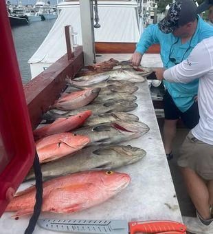 Family fishing days done right along the waters of Charleston and Mount Pleasant.