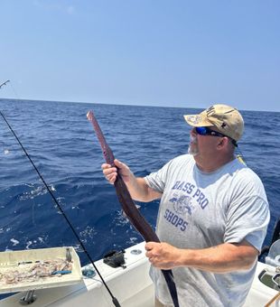 What do you think this fish is? - Mt Pleasant, SC.