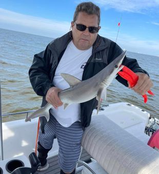 inshore fishing tampa bay	