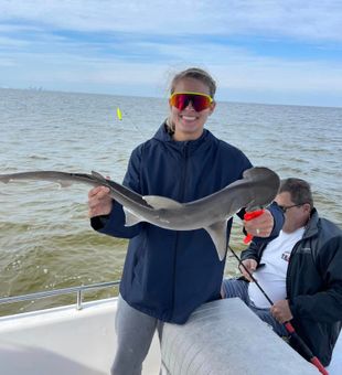 tampa offshore fishing