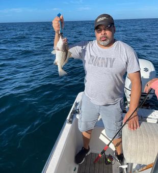 tampa bay fishing charter