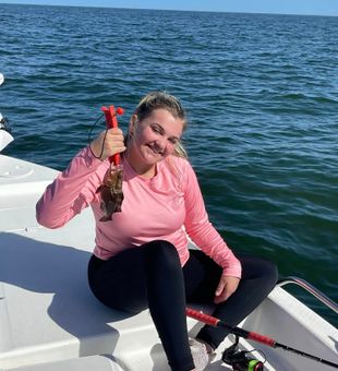 tampa bay offshore fishing	