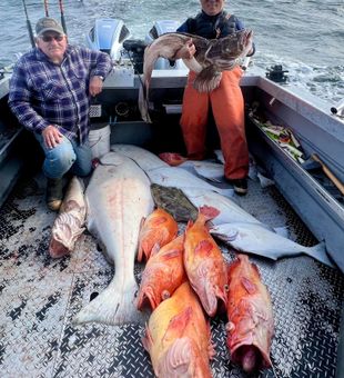 Homer Reels Of The Day
